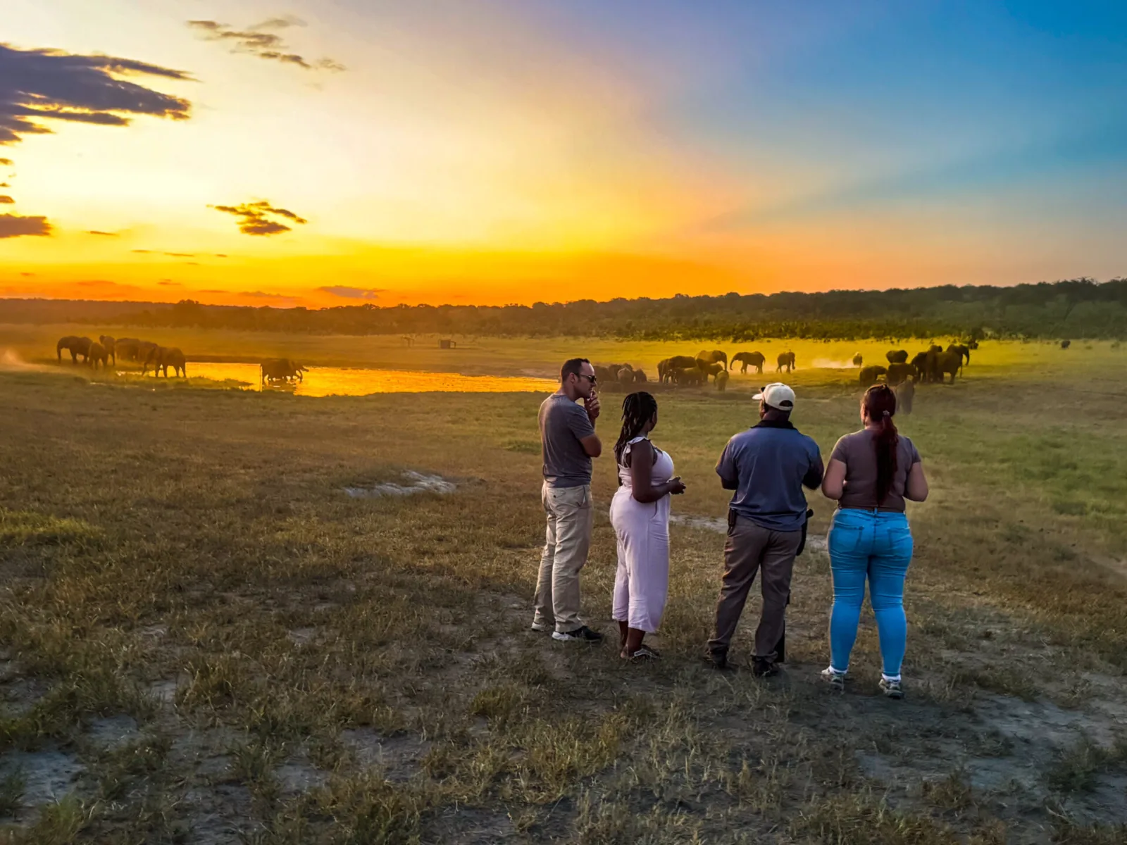 Safari Game Walk