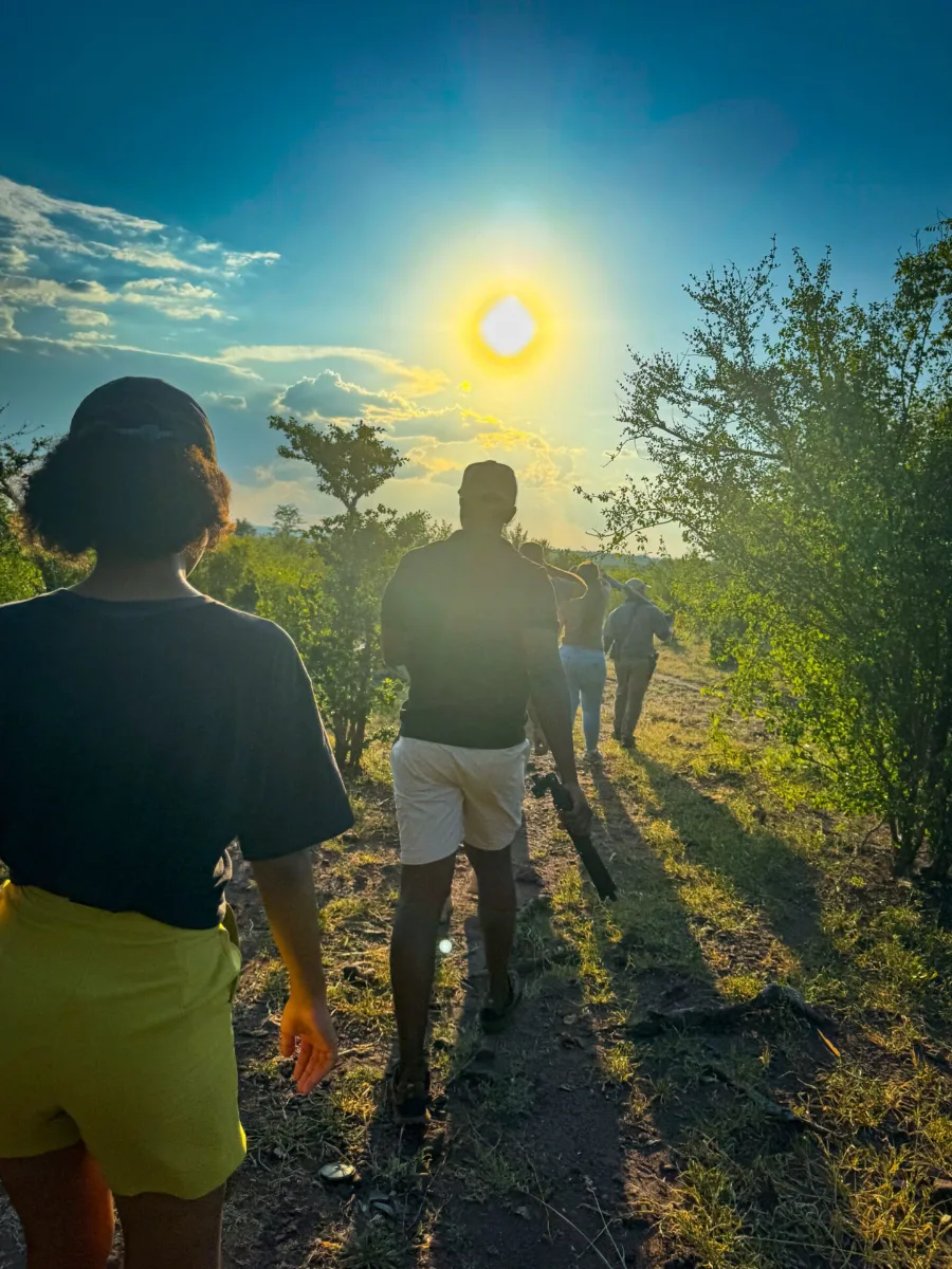 Safari Game Walk