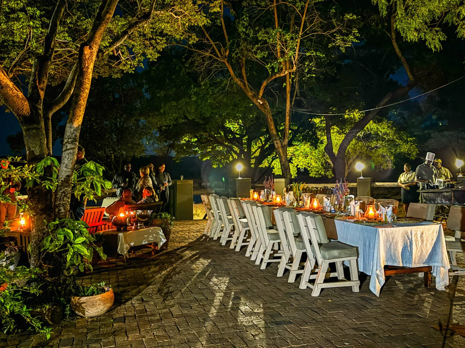 Night Game Drive, Zambezi National Park and Bush Dinner