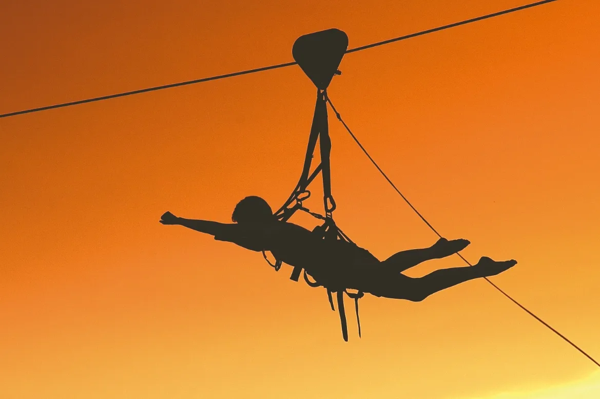 Flying Fox