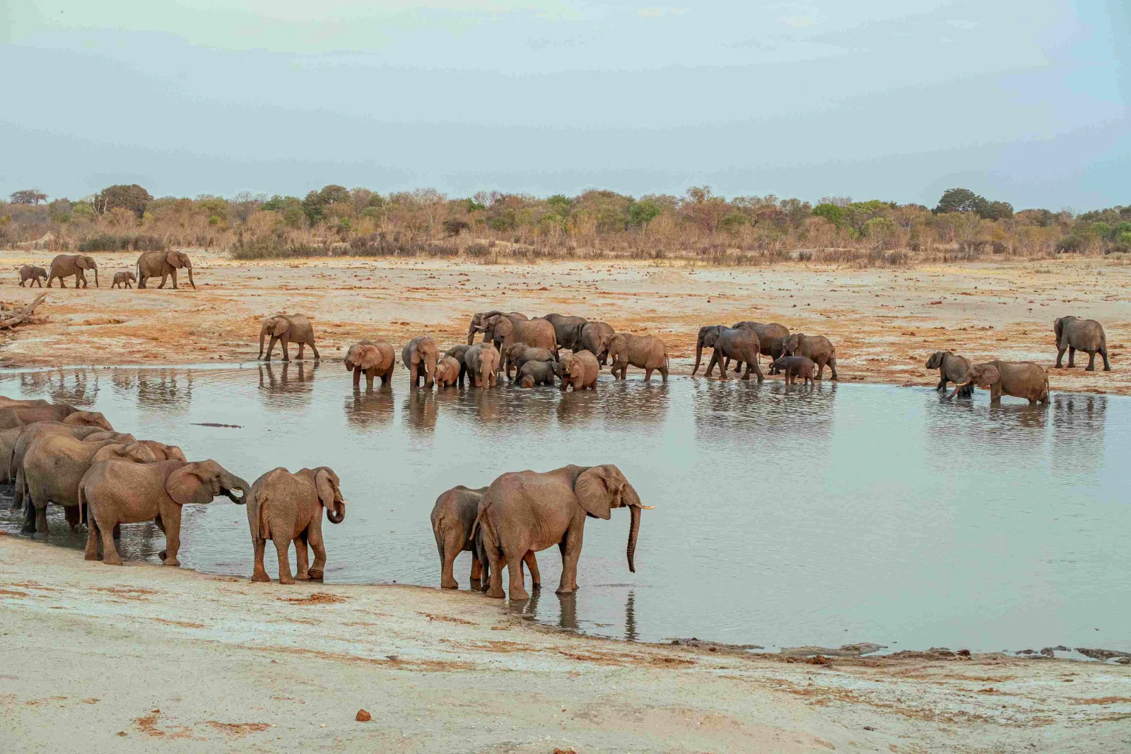 Elephant Riding