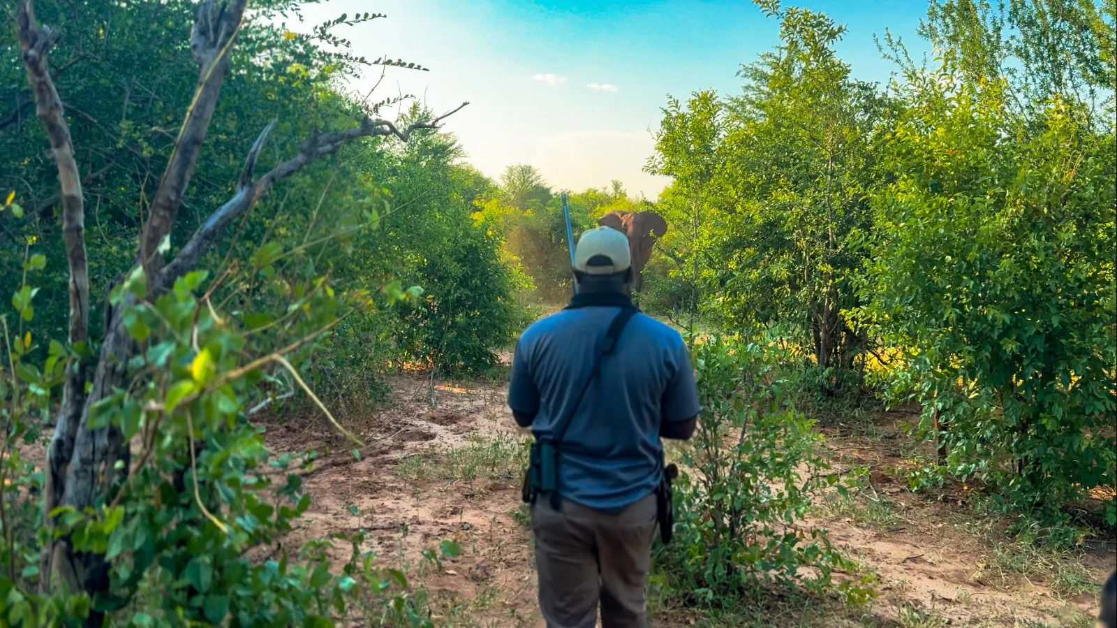 Safari Game Walk