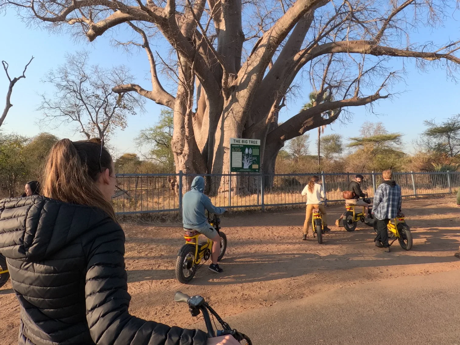 Bamba E Bikes Tour