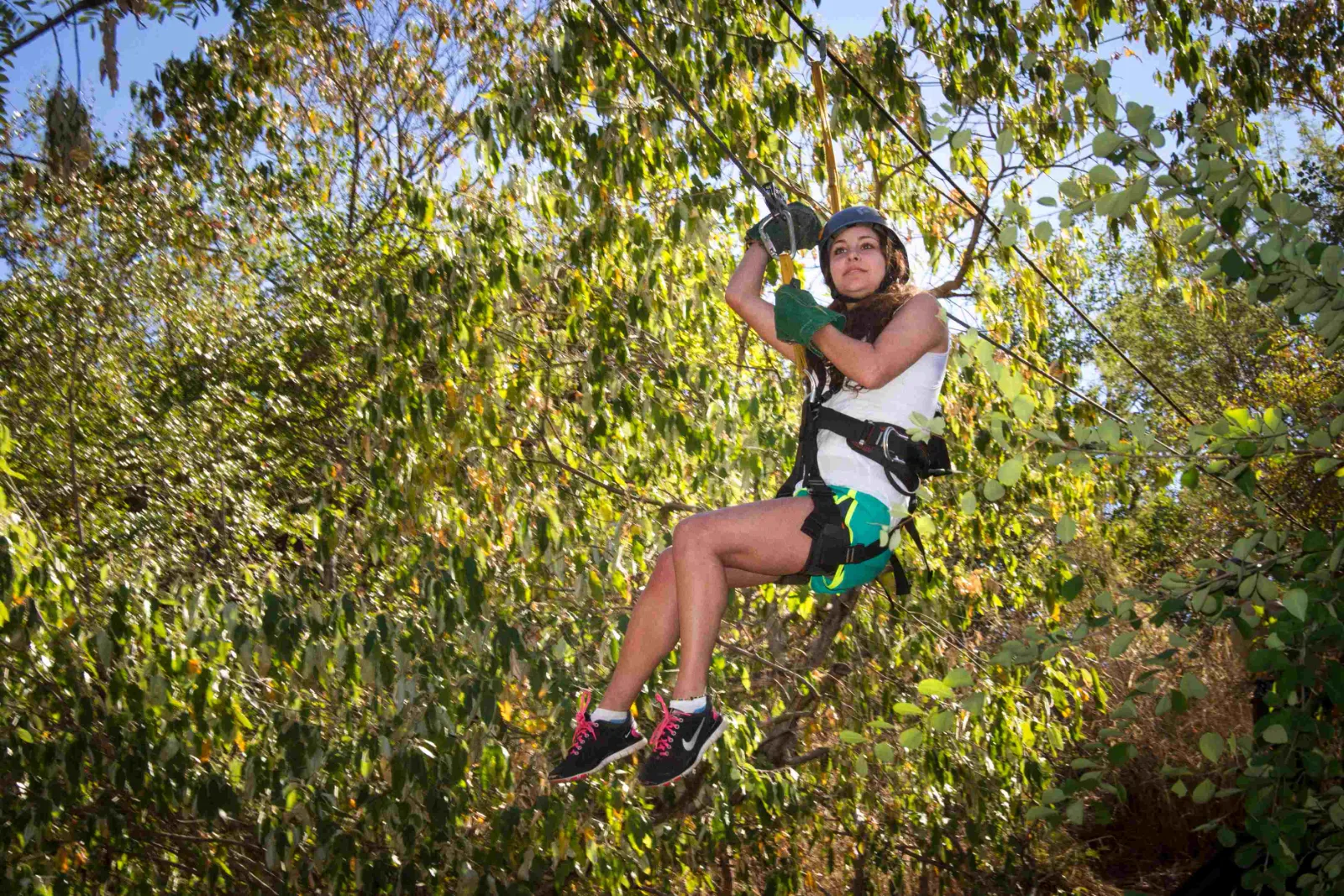 Canopy Tour