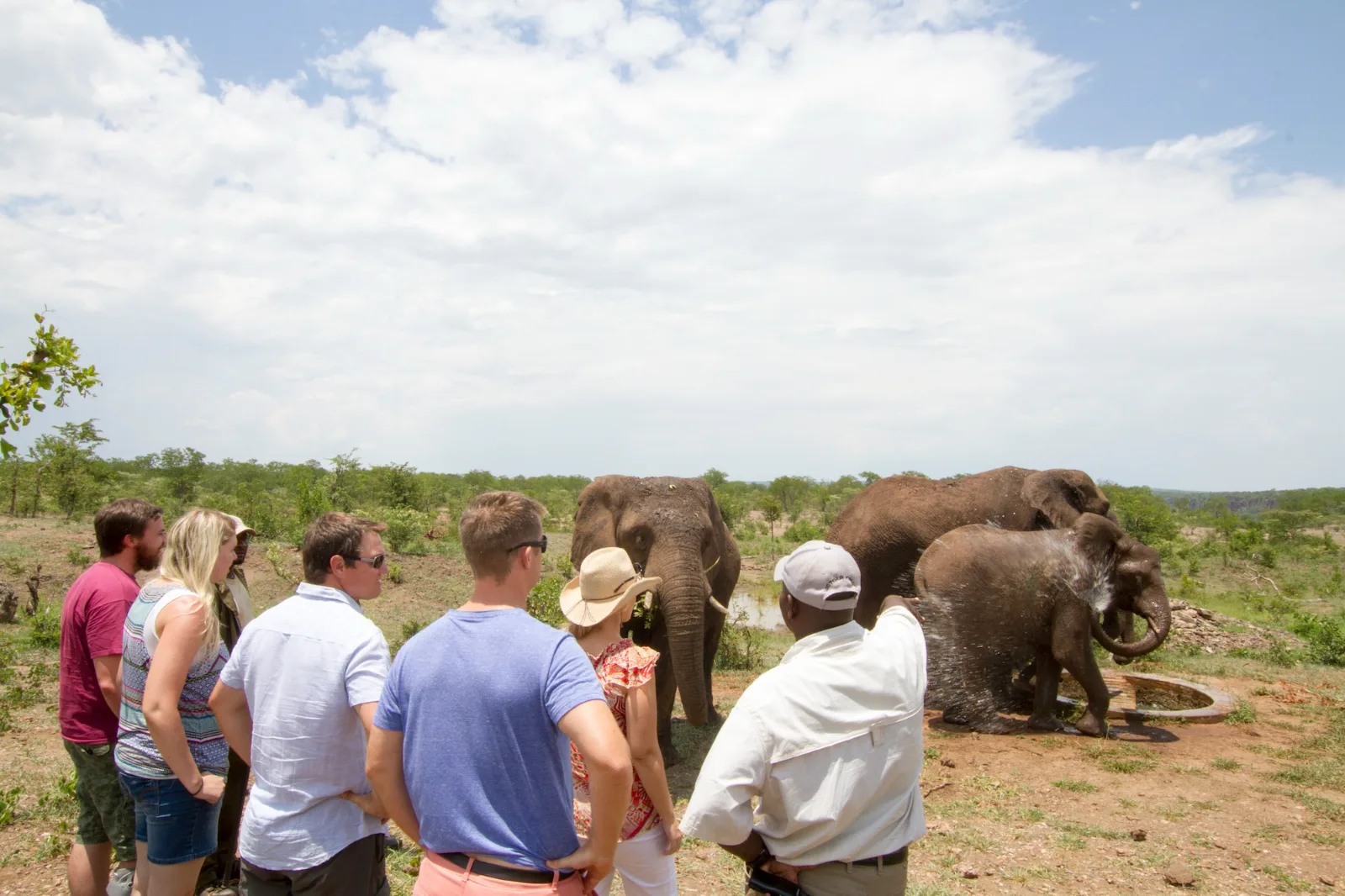 Elephant encounter