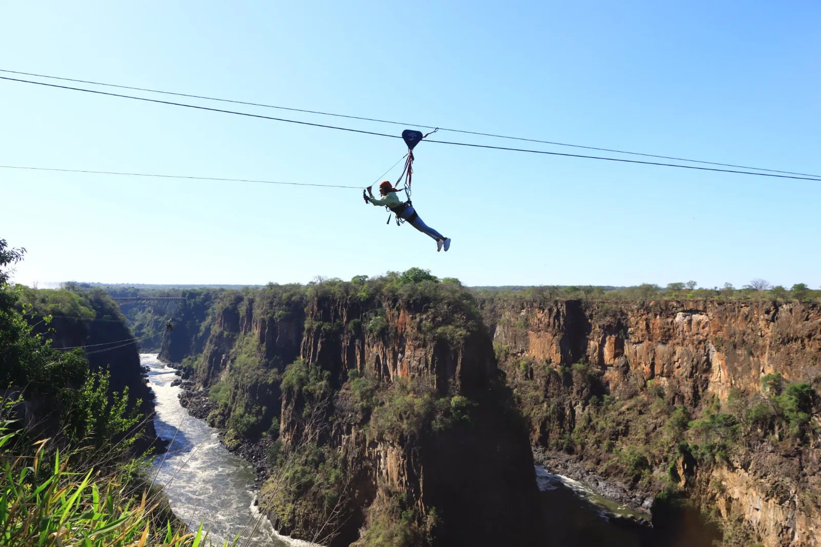 Flying Fox