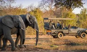Game Drive Stanley and Livingstone Private Reserve