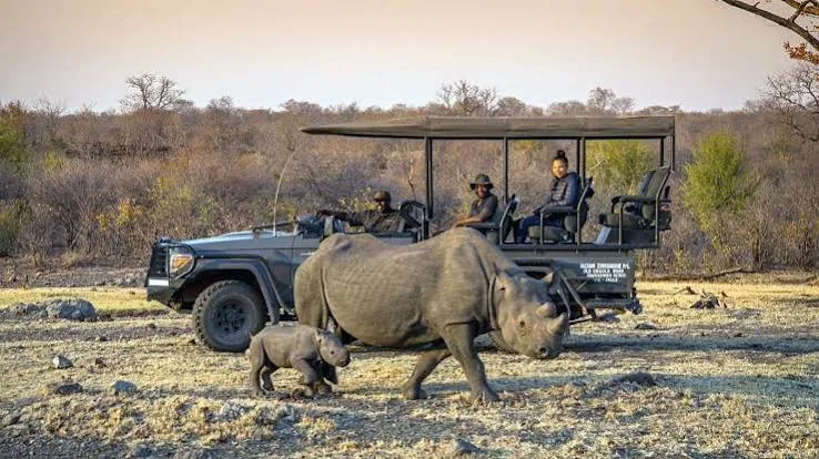 Game Drive Stanley and Livingstone Private Reserve