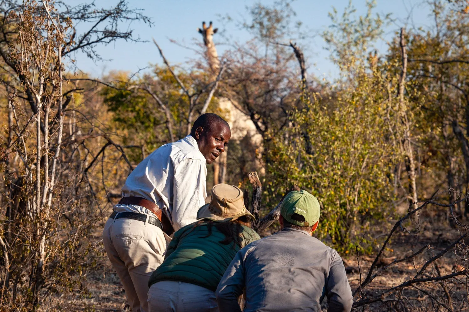 Safari Game Walk