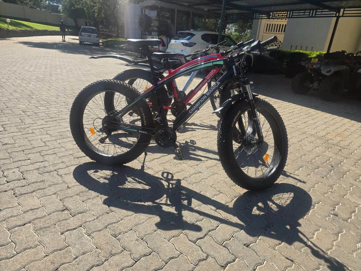 HEXA Bikes Hire