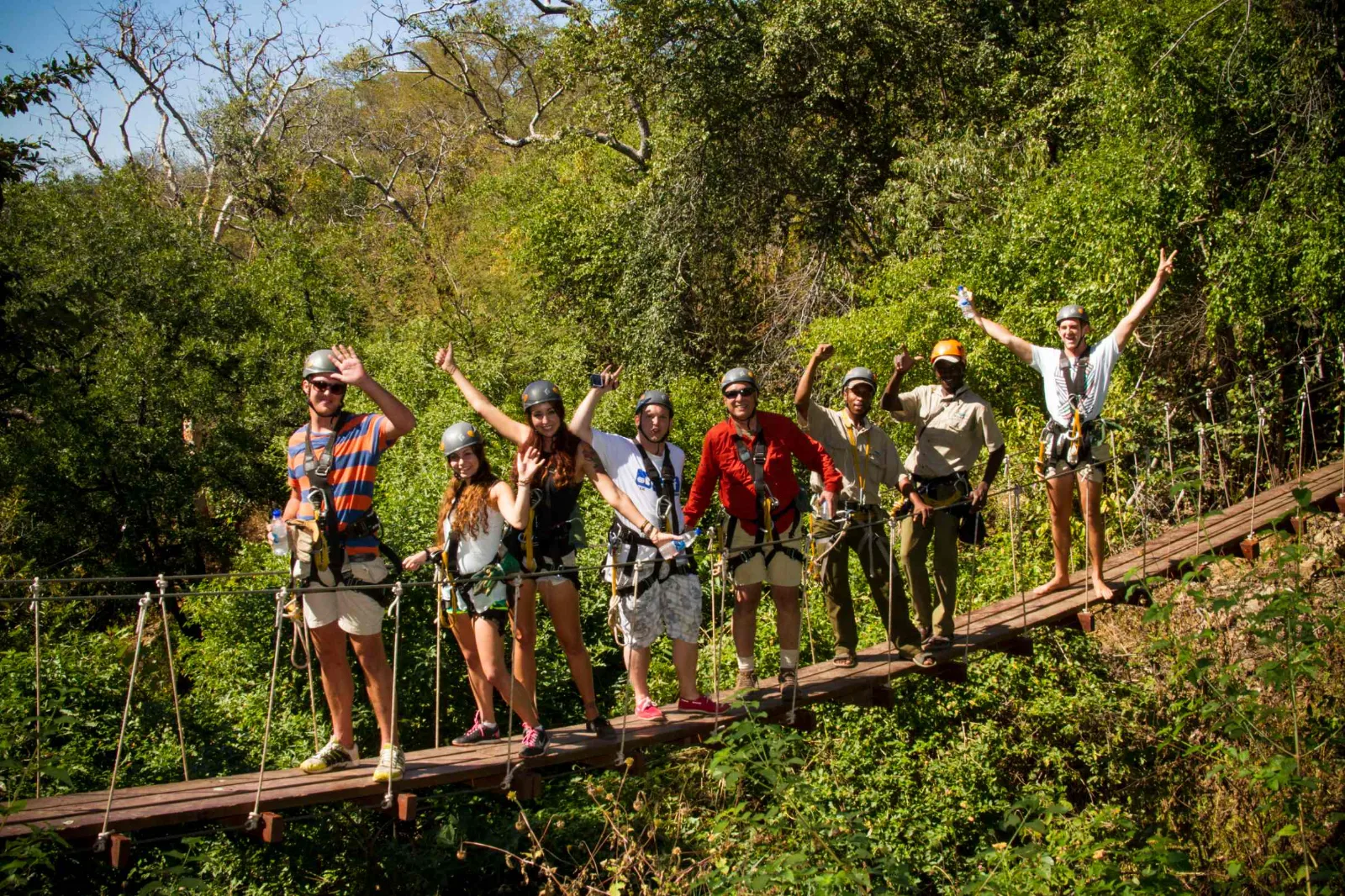 Canopy Tour