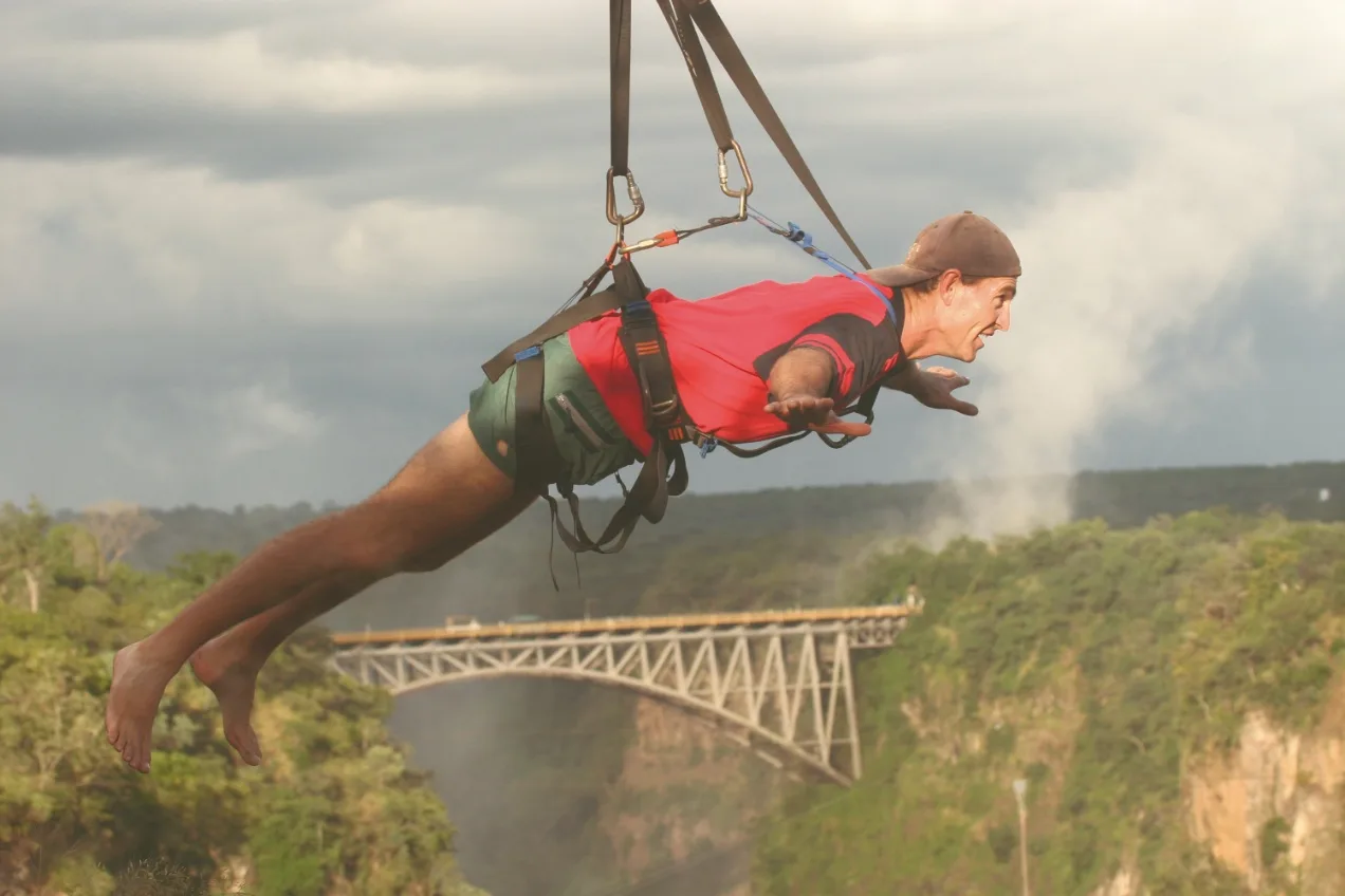 Flying Fox