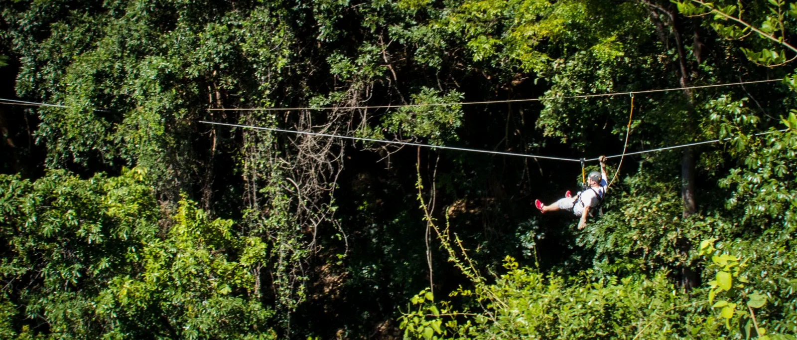 Canopy Tour