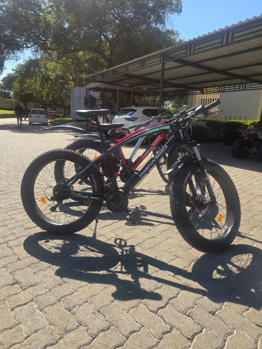 HEXA Bikes Hire