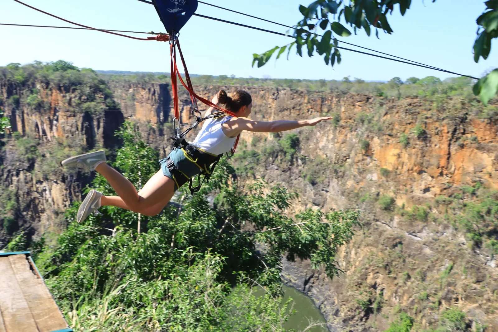 Flying Fox