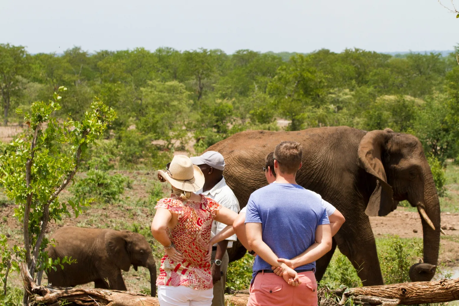 Elephant encounter