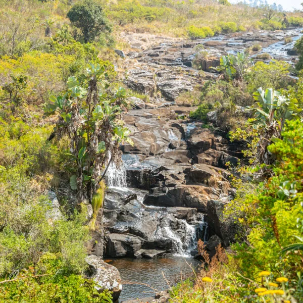 Manicaland
