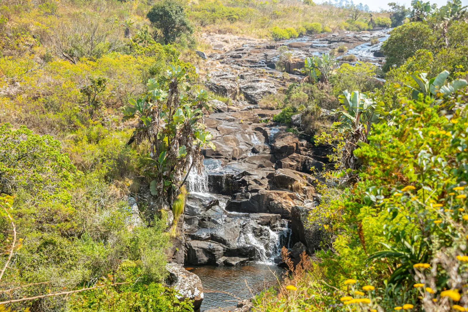 Mutare